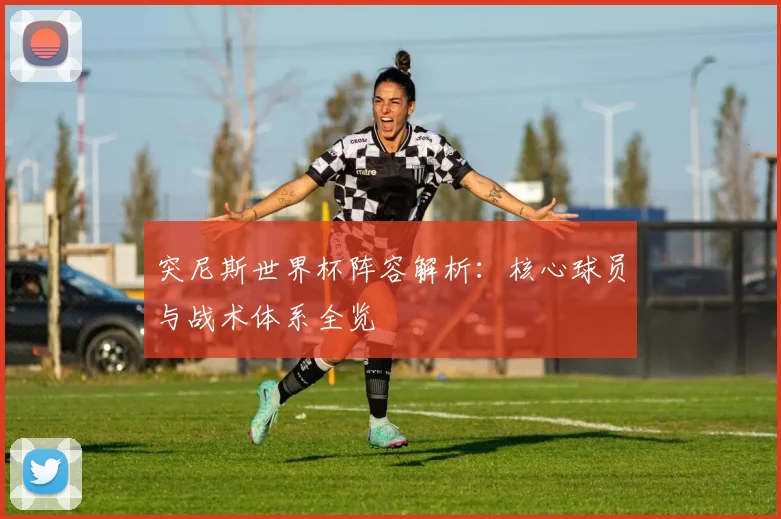 突尼斯世界杯阵容解析：核心球员与战术体系全览