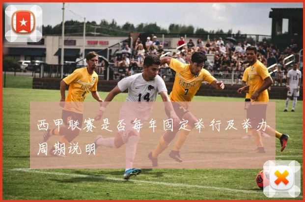 西甲联赛是否每年固定举行及举办周期说明